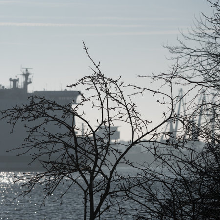 SEA COAST LANDSCAPE IN SWINOUJSCIE - Trees and a seaport with a passenger-car ferry sailing in the backgroundの写真素材