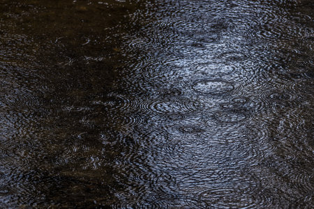 Raindrops fall on the river water surface