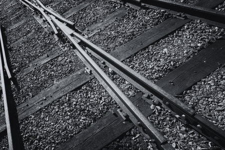 RAILWAY TRANSPORT - Turnouts on the railway sidingの写真素材