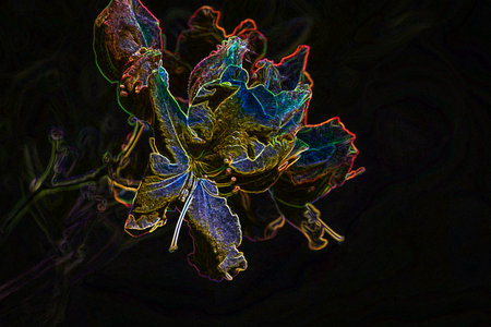 A beautiful flowers in a city parkの写真素材