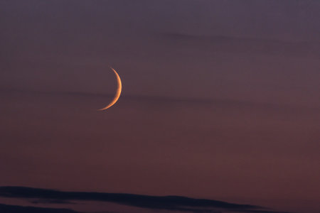 MOON - Earth satellite on the background of evening sky