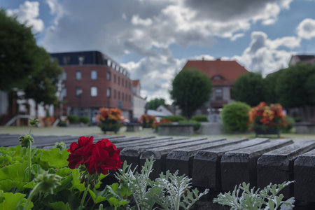 SUMMERTIME AND POLCZYN ZDROJ - Flowers in a picturesque town