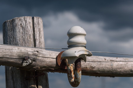 CERAMIC INSULATOR - Element of electric fence of the pasture