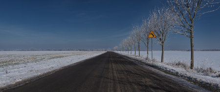 WINTER - Local asphalt route and hoarfrost on roadside trees and among snow-covered fields
