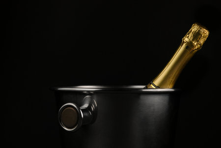 Champagne bucketの写真素材