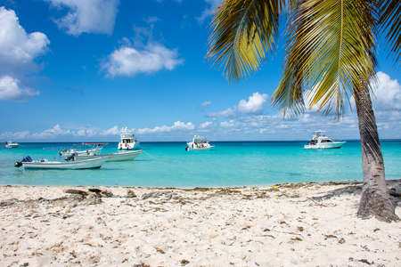 Speed Boats in the clear ocean on a background of palm trees and beautiful clouds.の写真素材