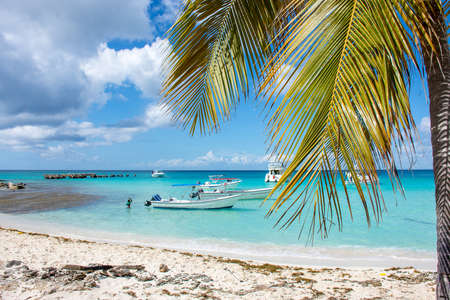 Speed Boats in the clear ocean on a background of palm trees and beautiful clouds.の写真素材