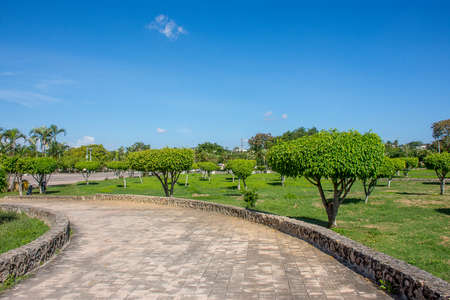 Beautiful trees with round green crowns and a nearby passing road made of stoneの写真素材