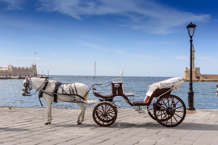 Carriage with a horse in the port on the background of the sea.の写真素材