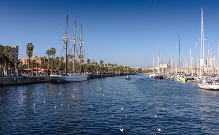 Expensive white yachts and boats are in the port.の写真素材