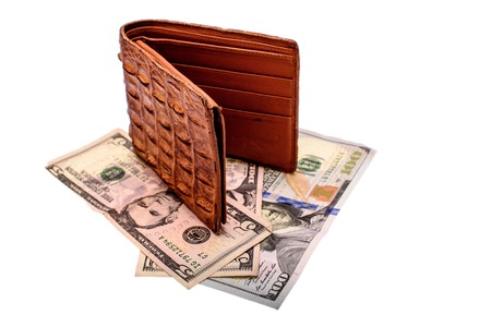 Purse of crocodile leather brown money money dolar currency on isolated on white background.の写真素材