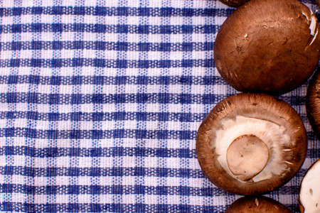 Gray mushrooms champignons lie on a blue towel, place for text, background.の写真素材