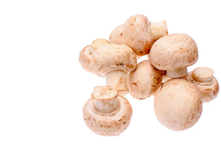 White mushrooms champignons isolated on a white background.の写真素材