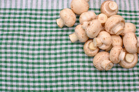 White mushrooms champignons lie on a green towel, place for text, background.の写真素材