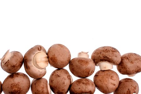 Gray mushrooms champignons isolated on white background.の写真素材