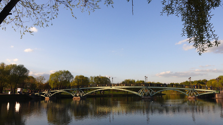 Beautiful view of the lake in the park and treesの写真素材