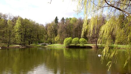 Beautiful clean European park with a beautiful view of the lakeの写真素材