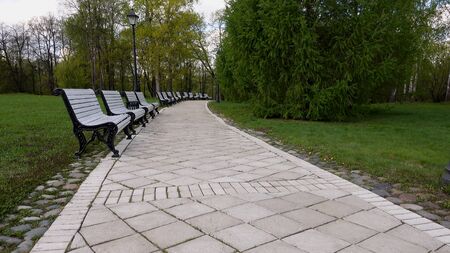 Beautiful clean European park with a beautiful view of the lakeの写真素材