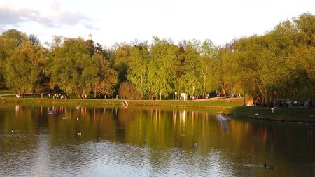 Beautiful clean European park with a beautiful view of the lakeの写真素材