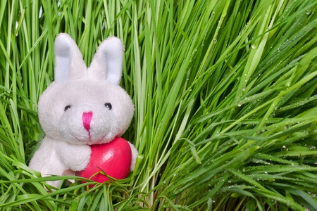 bunny holding an Easter egg on green grass backgroundの写真素材