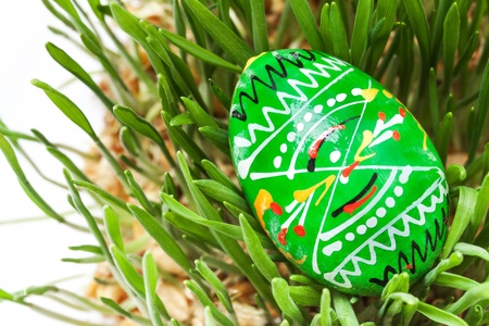 Easter egg on background wheat germの写真素材