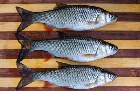 Fresh fishes on wooden cutting boardの写真素材