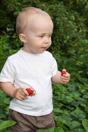 Little boy holding strawberryの写真素材