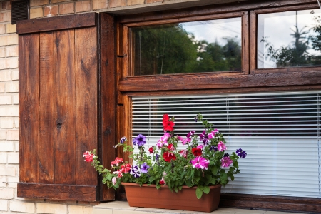 Window with shutters and flower potの写真素材