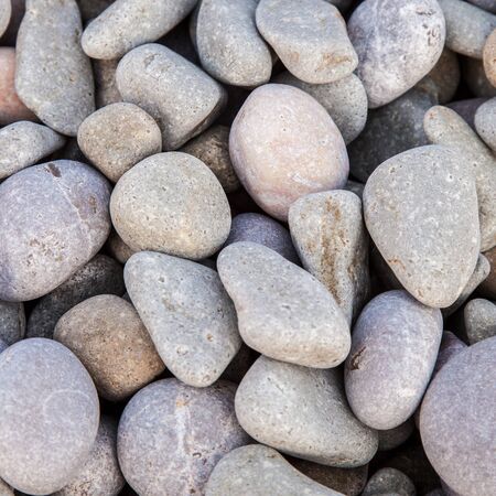 Pebbles as a background stony texture, in a square