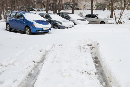 Cars covered in snow in the parking lot after a blizzardの写真素材