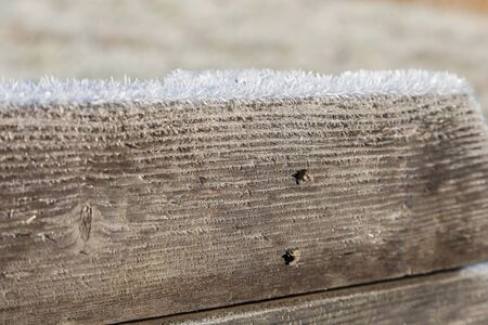 Wooden plank covered with frost closeup outdoors, abstract winter backgroundの写真素材