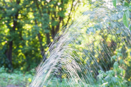 Automatic watering of the garden, jets of water in the garden at sunsetの写真素材