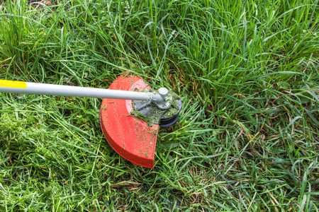 Gasoline lawn trimmer mows juicy green grass on a lawn, close-up image
