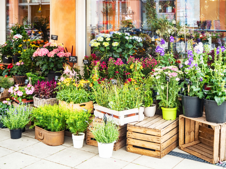 Flowers for sale at flower market in Berlin, Germanyのeditorial素材