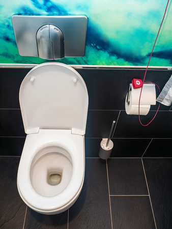 White ceramic toilet bowl in interior of the toilet in hospital, red button for nurse callの写真素材