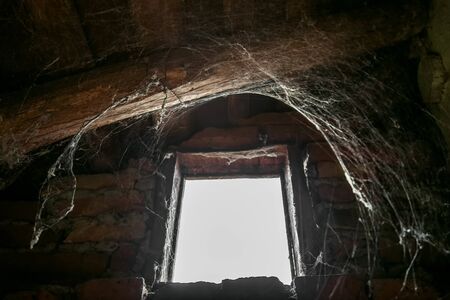 Light illuminates a cobweb through the window in abandoned buildingの写真素材