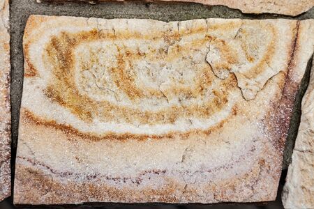 Art veneer, decorative stone, construction, masonry, texture and background