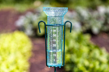 Meteorology with rain gauge in garden after the rain against the backdrop of salad and spinach beds