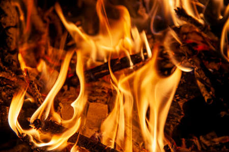 Burning wood in fireplace, tongue of flame and hot coals, Background of smoldering wood and flame in...