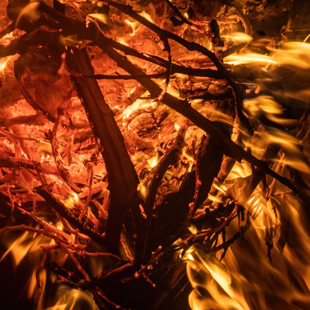 Burning wood in the fireplace close-up, flame texture, fire backgroundの写真素材