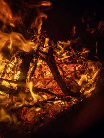 Burning firewood in the fireplace closeupの写真素材