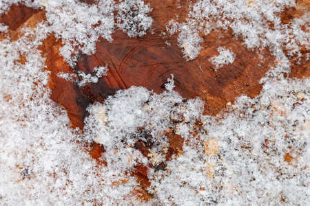 Photos wooden surface covered with hoarfrost closeup abstract backgroundの写真素材