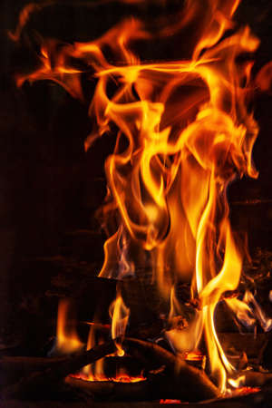 Burning firewood in the fireplace close upの写真素材