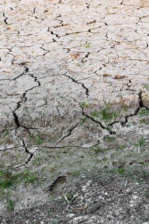 Cracked surface of a dried up lake
