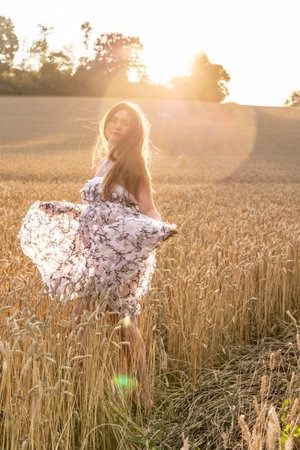 Pregnant woman in wheat field at sunset in summerの写真素材