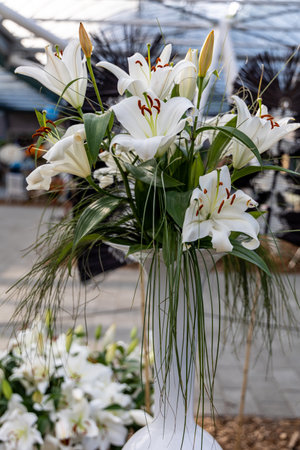 Bouquet of white lilies in vase, in a greenhouseの写真素材