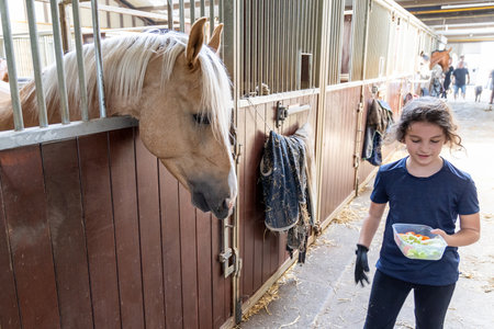 The girl feeds the horse in the stable with goodiesの写真素材