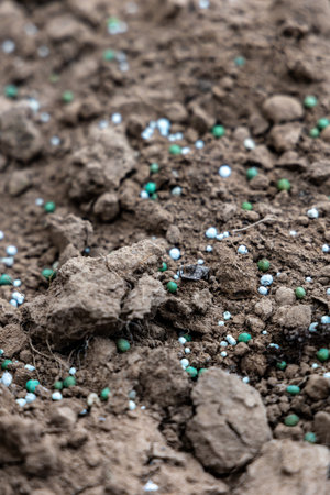 Granulated mineral fertilizers lie on the surface of the soilの写真素材