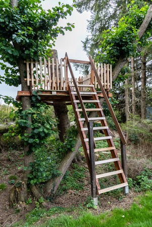Wooden hunting blind with a ladder, arranged on a sawn treeの写真素材