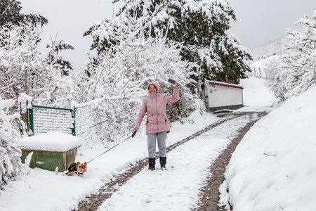 A woman with a dog walks on a snowy street in winterの写真素材